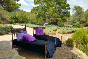 Descanso y disfrute del entorno